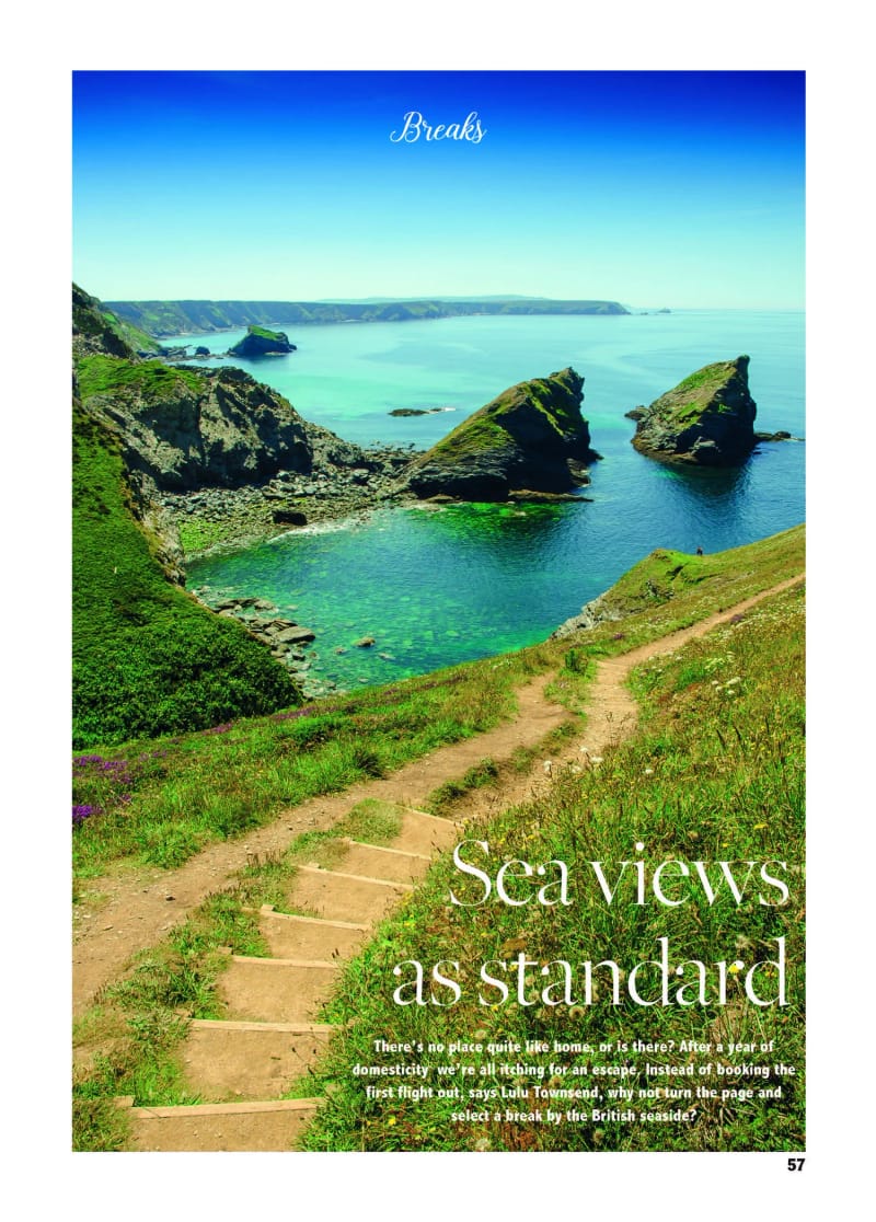 Seaviews as Standard, coastal landscape with green cliffs and rocky formations