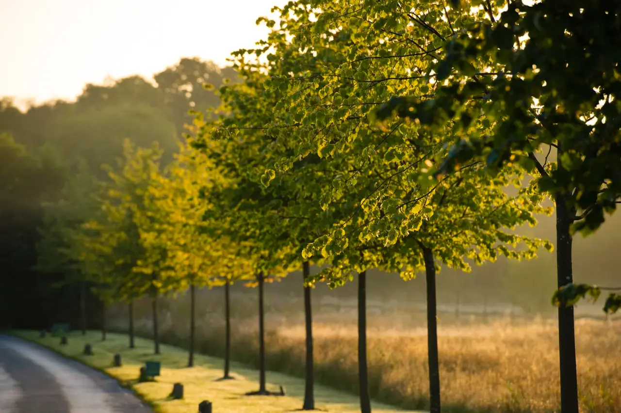 Lime Wood Hotel and Spa, Hampshire, UK