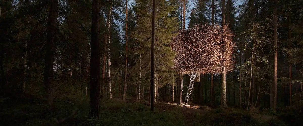 Bird's Nest at Treehotel