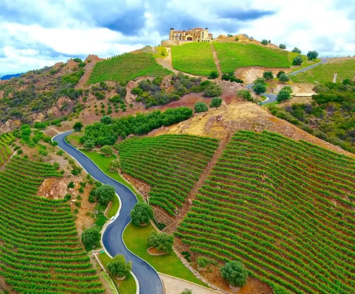 Malibu Rocky Oaks Estate Vineyards