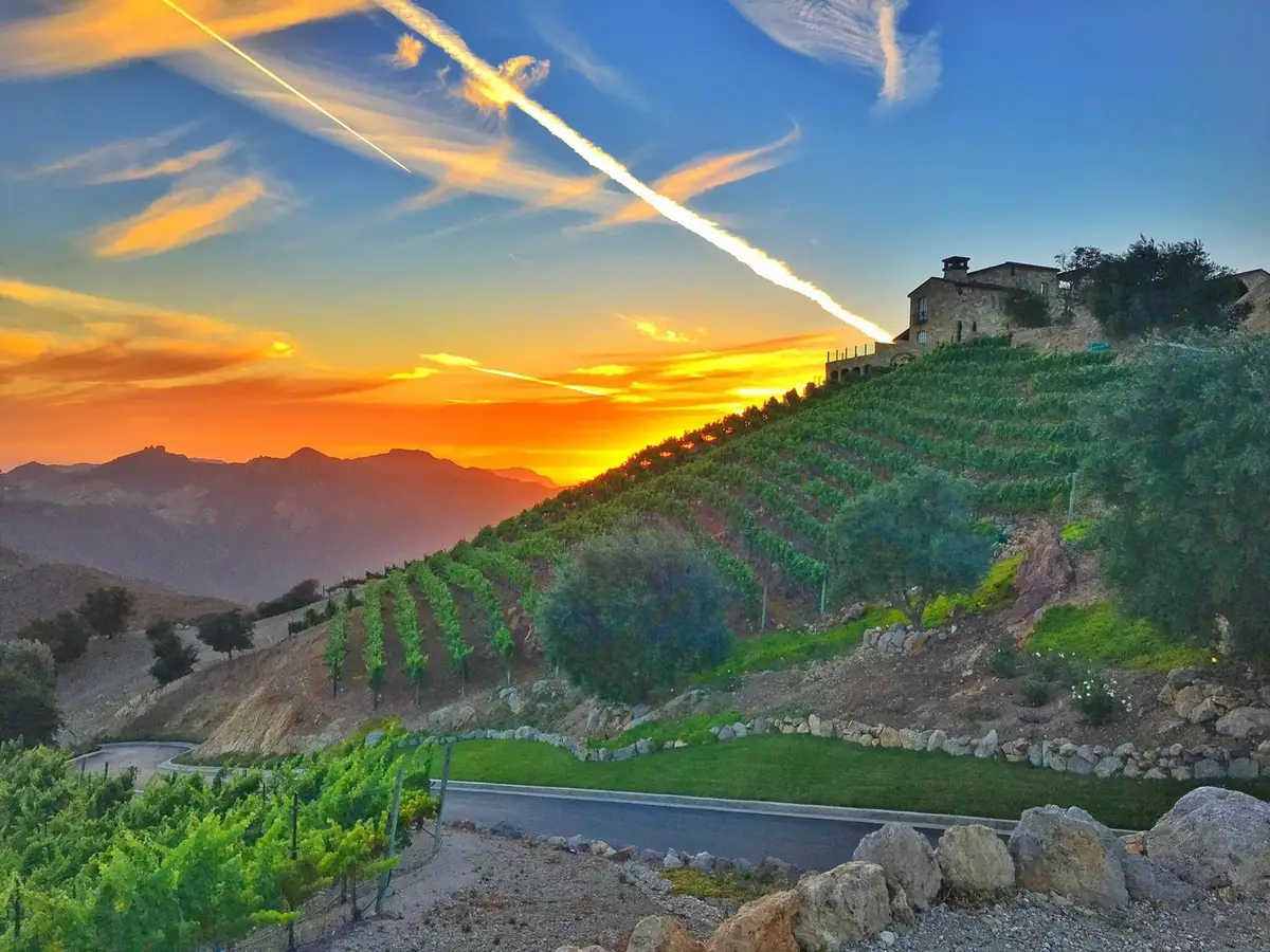 Malibu Rocky Oaks Estate Vineyards