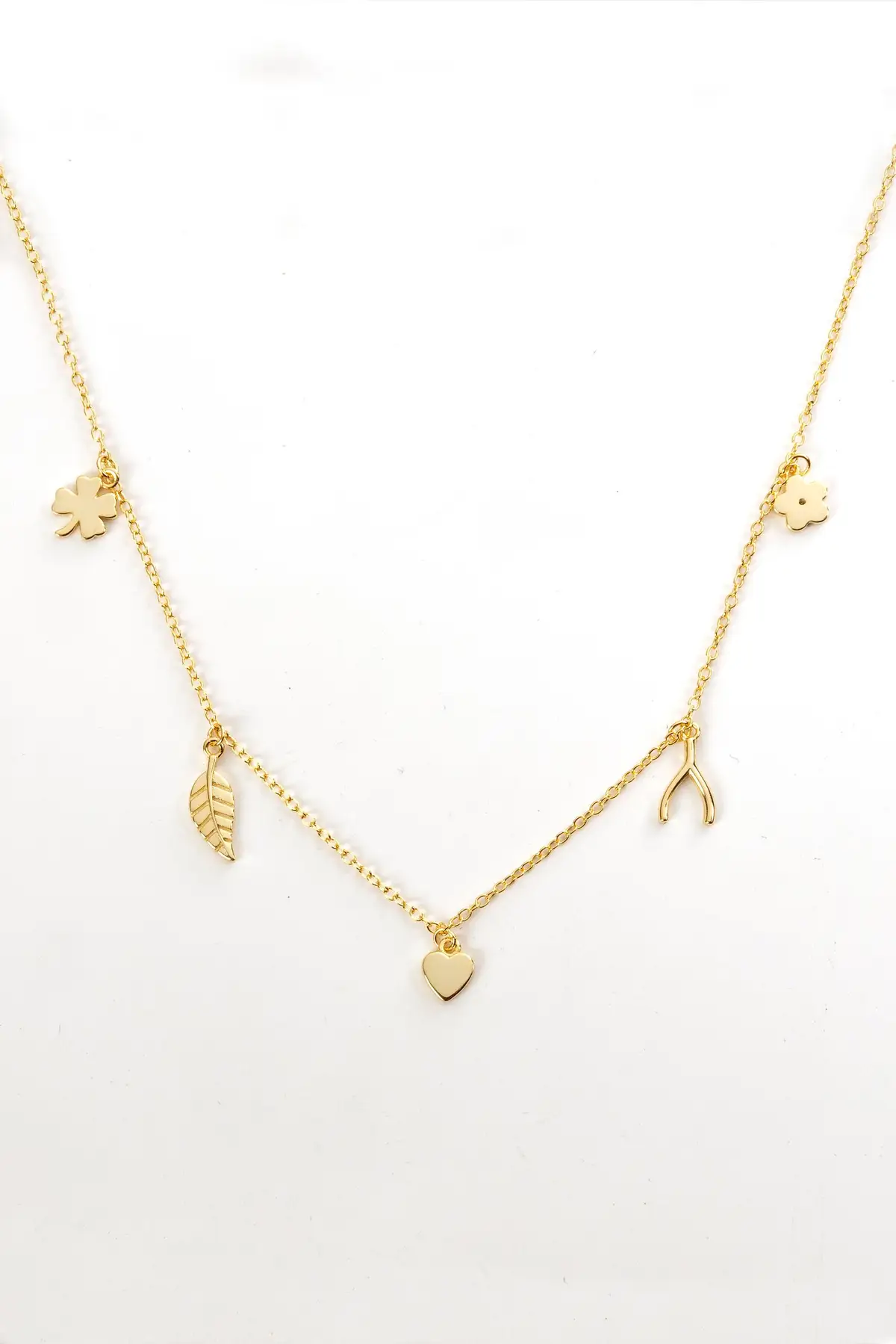 Charm Neck 1.jpg