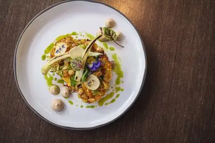 Vegan Food