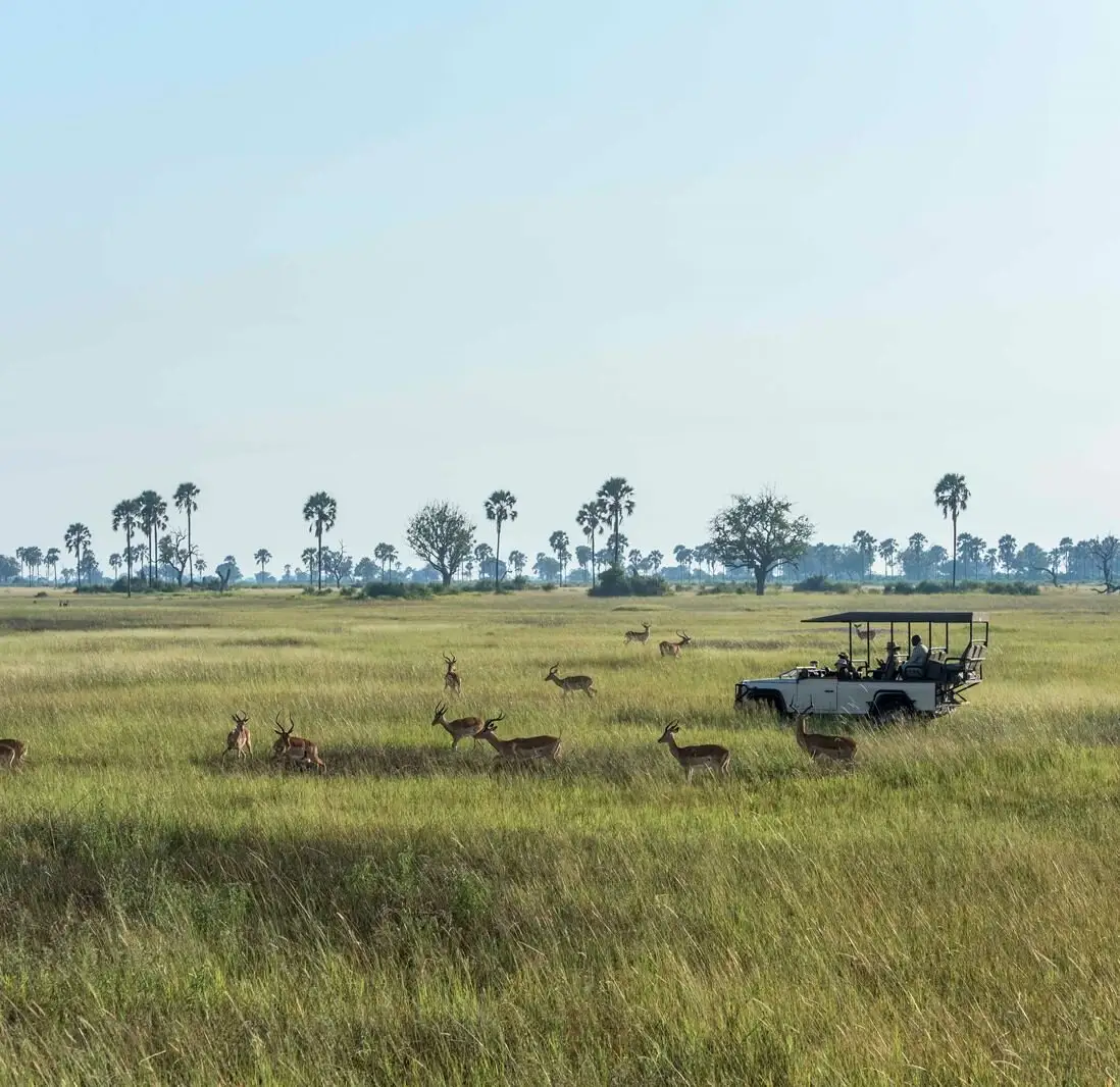 Xigera Safari Lodge