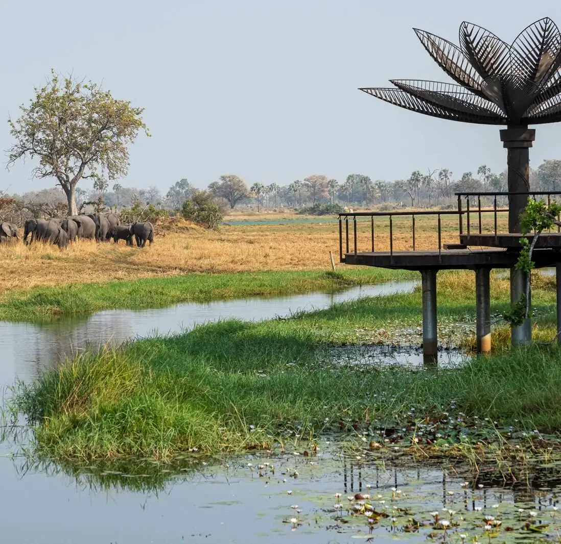 Xigera Safari Lodge