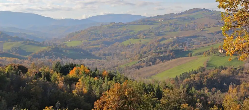 Alla Selva View.jpeg