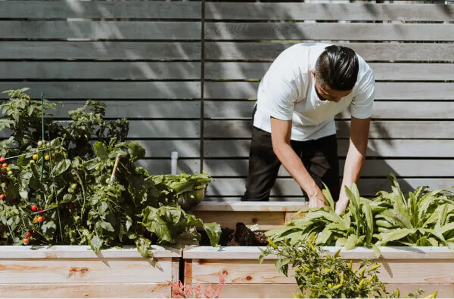 The Rise of Sustainable Luxury Travel: How Hotels Are Embracing Eco-Friendly Practices