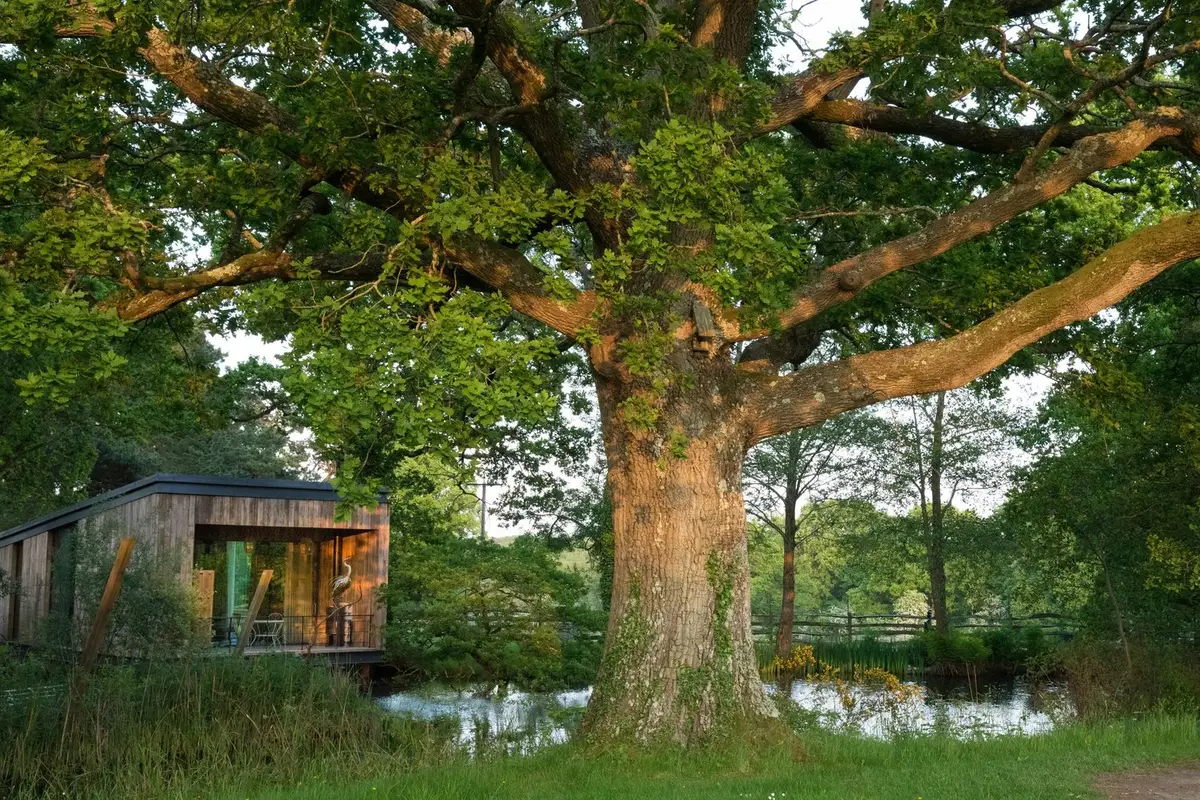Lake Cabin exterior .jpg