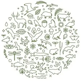 Sustainability at Fritton Lake