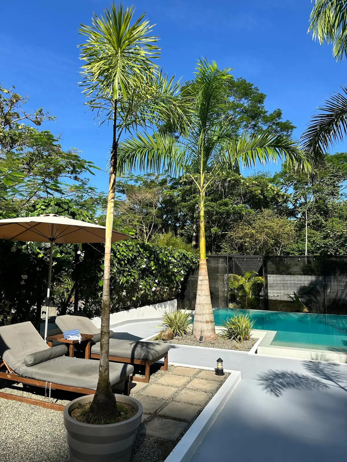 Vayu Retreat Villas: A Raw and Refined Jungle Hideaway in Costa Rica