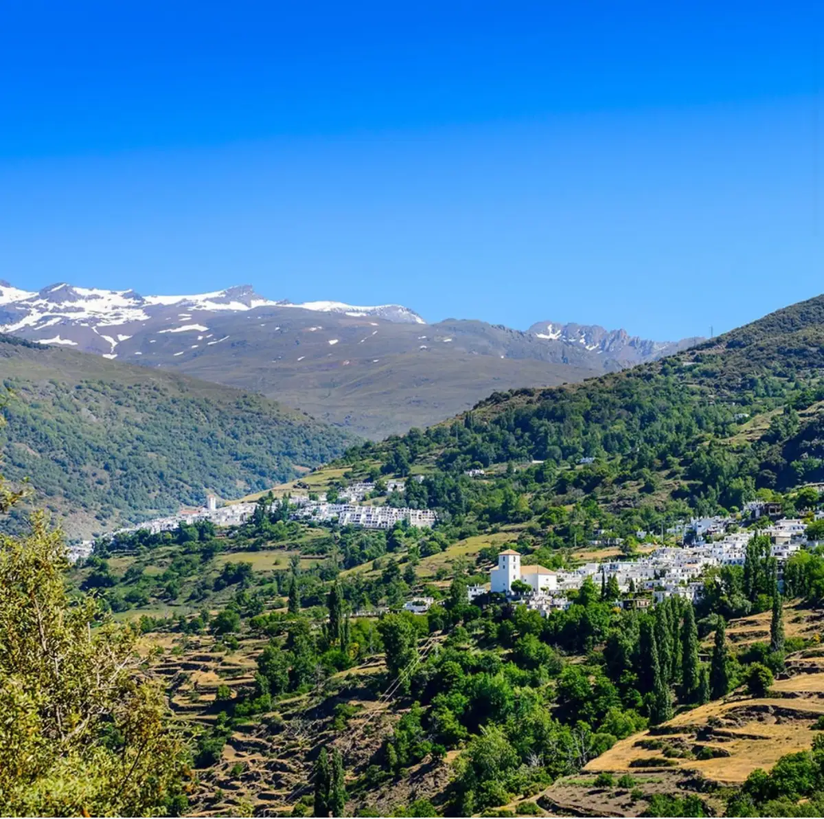 The Real Kaliyoga: Love, Laughter and Letting Go in Andalucia