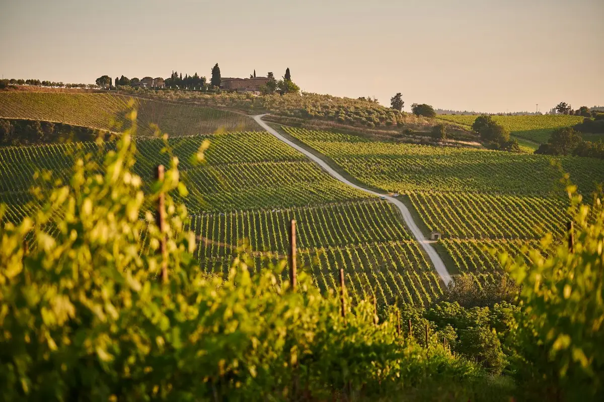 Tuscan Hills
