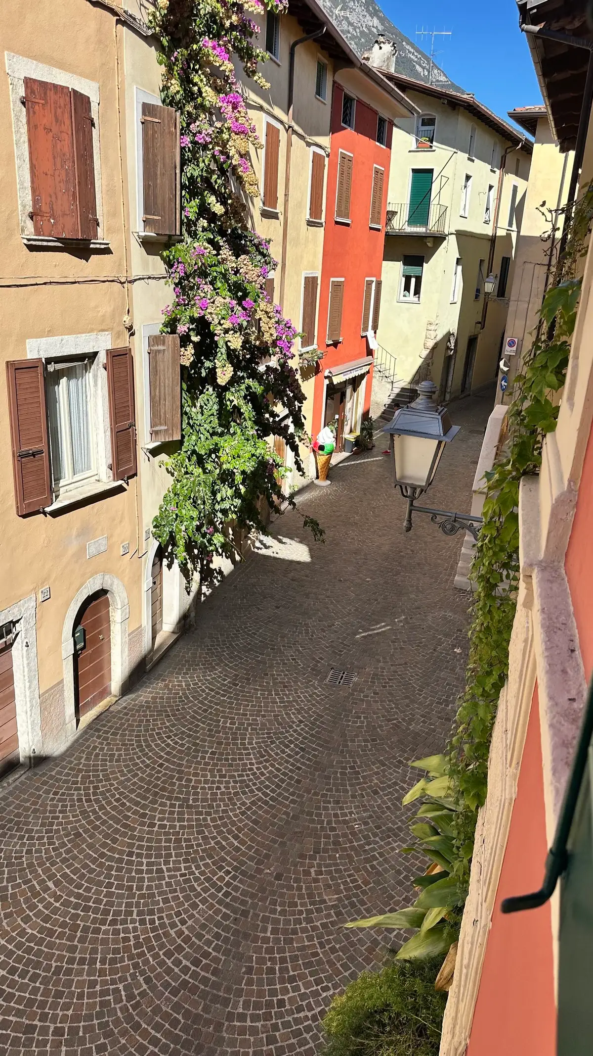 IMG_0225.jpeg