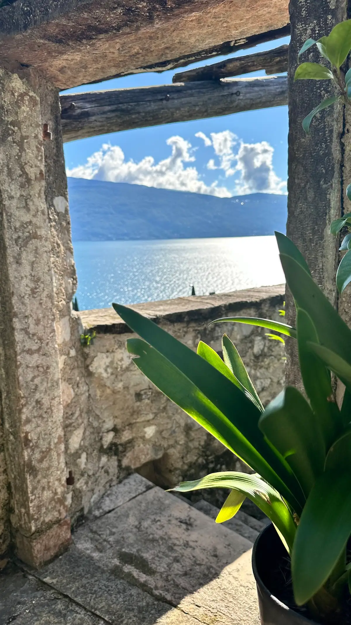 A Lake Garda Love Story: Hotel du Lac and Hotel Gardenia al Lago