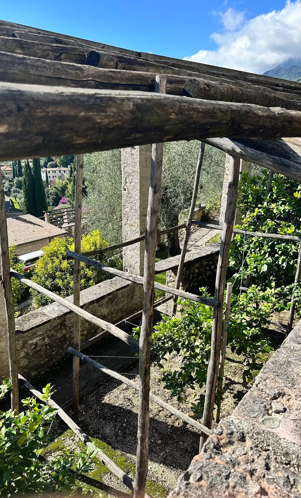 IMG_0043.jpeg