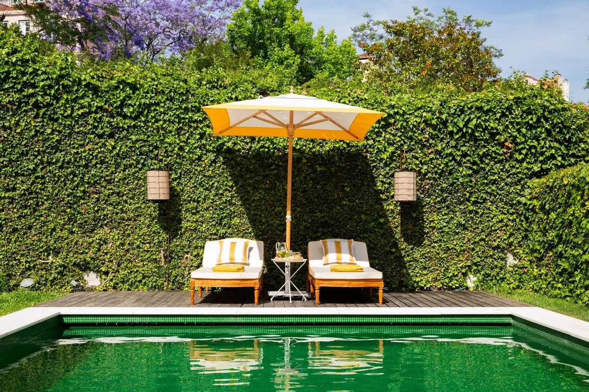 The New Kid on the Block: Tarabel Lisbon