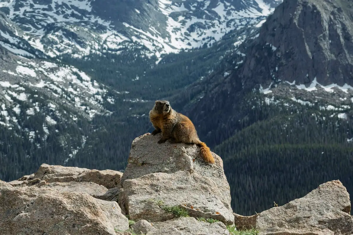 Denver, Colorado, USA