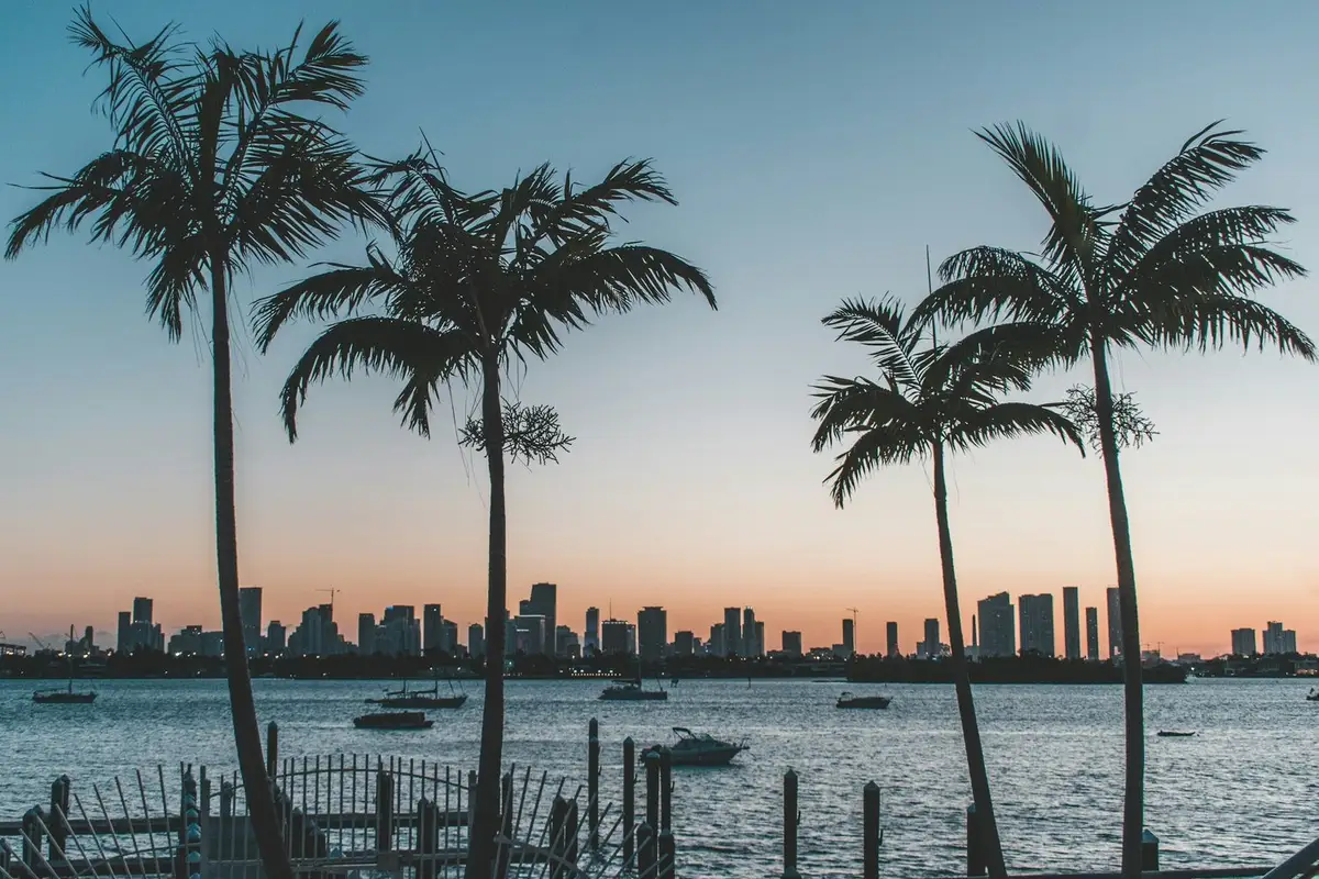 How to Book the Right Pet-Friendly Rental in Florida