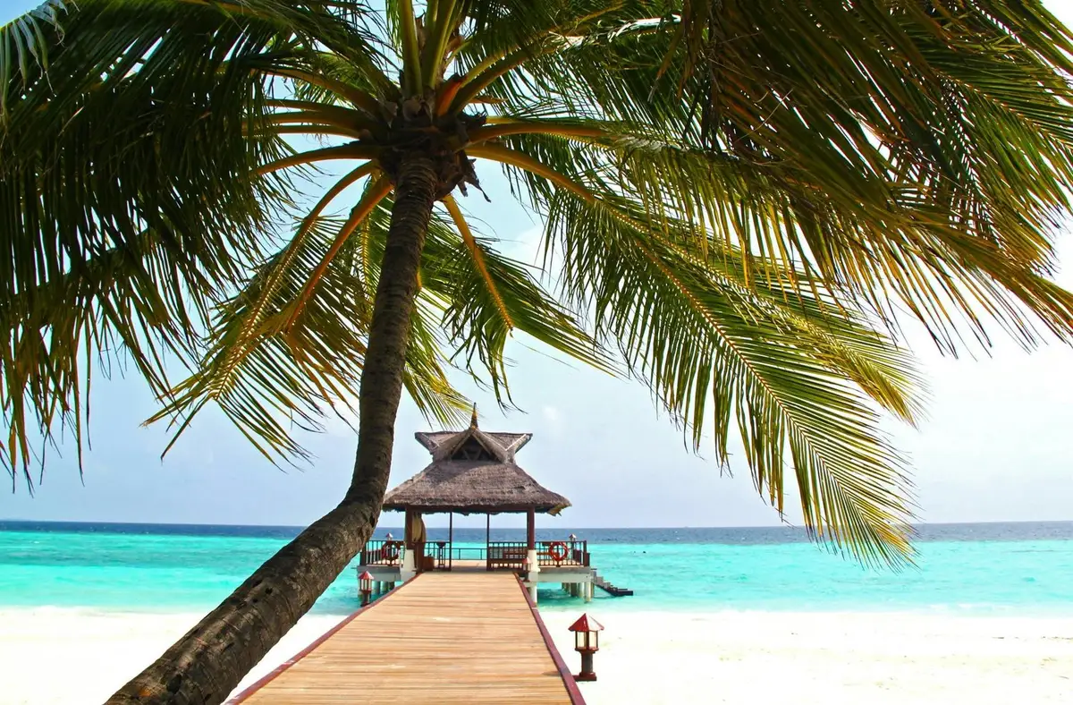 Caribbean bliss